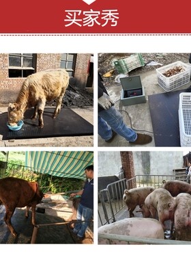 上海耀华地磅秤1-3吨加厚养殖场电子秤称猪称牛小型地磅称带围栏