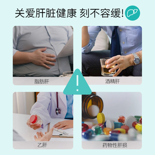 TOWATA葛根寡糖泡腾片10片熬夜应酬