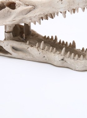 鱼缸水族箱造景装饰摆件 造景鳄鱼树脂头骨爬虫躲避 水族馆装饰