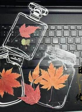 瓶子里的春天手工DIY透明贴纸创意干花书签收集春天树叶花瓣标本