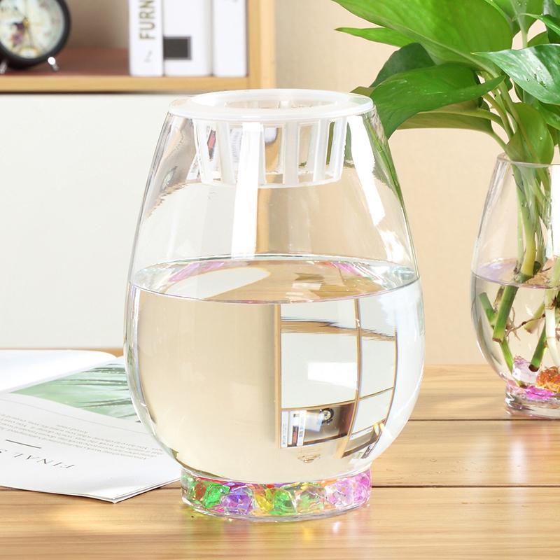 水培植物玻璃瓶 绿萝花瓶花盆玻璃圆球水养鱼缸器皿容器送定制栏 - 图2