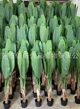高仿真芭蕉树仿真中大型绿植假树室内造景商场装饰落地热带仿真树