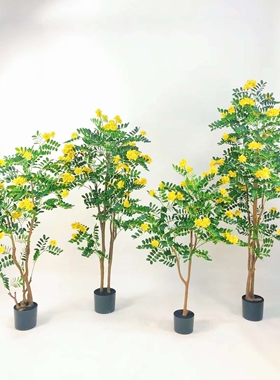 仿真槐花树 黄花叶槐花树 园林工程造景家居装饰仿真绿植