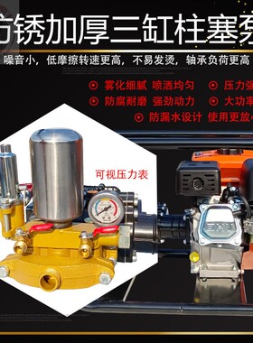 170F高压汽油打药机自吸农用园林山地果树7.5HP三缸柱塞泵喷雾器