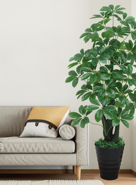 彷真绿植室内果树l彷生鸿运当头大型客厅摆件假发财树植物盆栽装