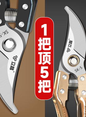 剪树枝专用剪刀果树修枝剪园林枝剪树木剪枝修剪修枝花剪园艺剪刀