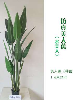 绿长春北欧仿真植物天堂鸟旅人美人蕉香蕉树热带假树绿植盆栽装饰