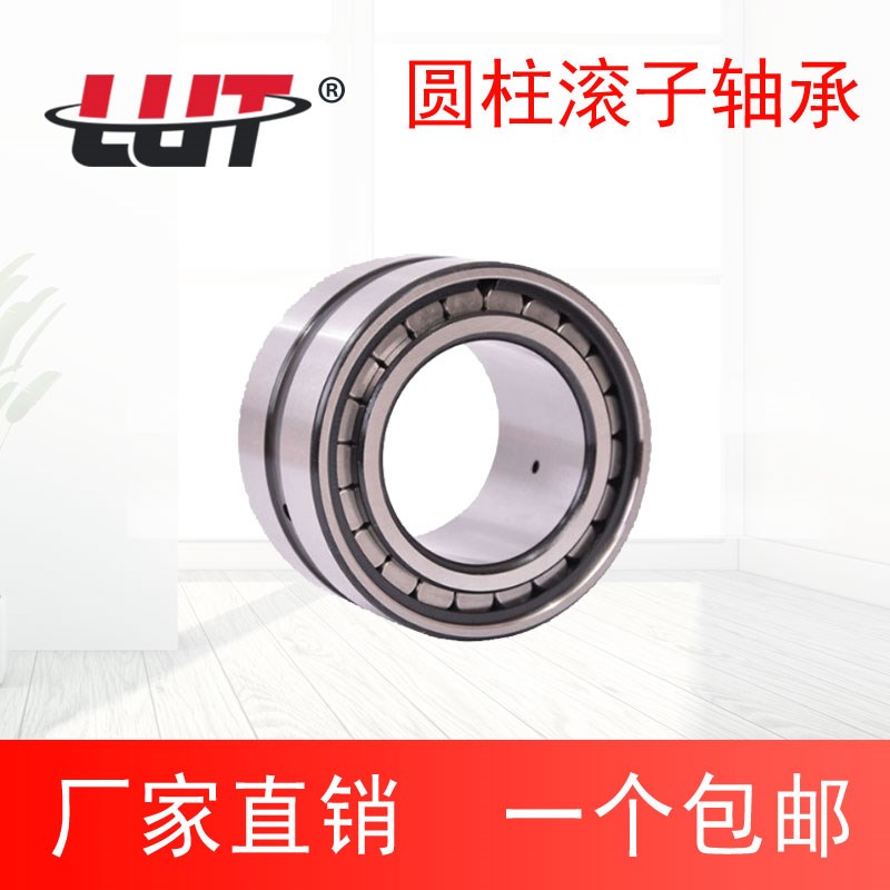SL满装滚子轴承 SL185010 185011 185012 185013 185014 185015 - 图0