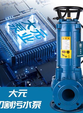 浙江大元切割式污水泵卫生间生活工业废水化粪池养猪鸡场排污380V