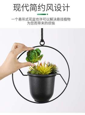 源头工厂铁艺植物悬挂花盆花架创意多肉绿萝壁挂吊篮挂盆吊兰花篮