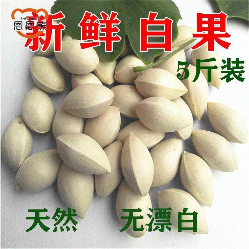 新鲜带壳银杏果 白果银杏果生果 恩恩熊大颗白果 无漂白银杏果5斤 - 图1