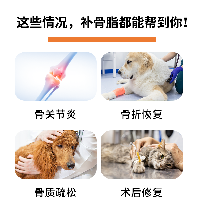 中牧股份补骨脂宠物猫狗通用保护关节修复健骨补钙养护营养补充剂,淘宝优惠券,粉丝福利购,淘宝优惠卷
