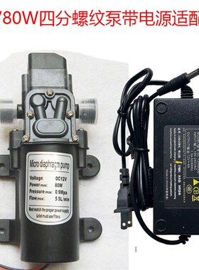 24v微型直流12v80w电动抽水泵220V家用自吸隔膜泵洗车打药高压喷