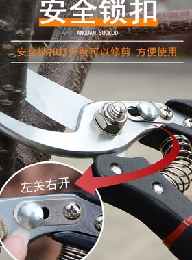 日本剪枝修枝剪花剪园艺剪刀家用花草盆栽修花园林果树修剪树枝