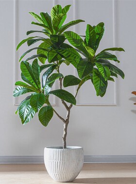 大型枇杷树室f内仿真植物盆栽客厅假树造景马醉木落地绿植装饰摆