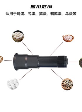 孵化蛋机器led小型手电筒芦丁鸡孵化专用验蛋照蛋灯种蛋检查工具
