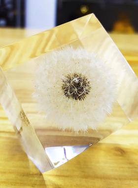 水晶胶工艺品摆件内嵌蒲公英植物标本永生花枫叶高透明耐黄变镇纸