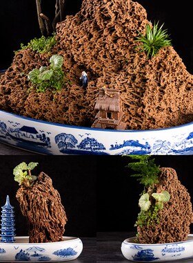 精品黄金麦管石天然吸水石上水石原石假山盆景奇石植物化石小摆件