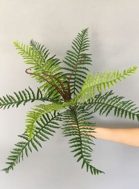 仿真植物波斯蕨草植物墙花艺蜈蚣草园林工程假绿植蕨类