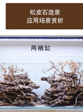 鱼缸造景 天然松皮石造景假山石头小块盆景多孔 草缸造景装饰大块