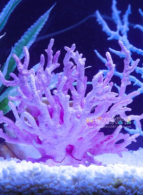 仿真海铁树珊瑚树枝黑色红色鱼缸造景水族箱装饰摆件海底世界