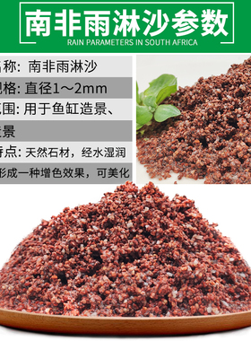 热带雨林沙底砂南美缸红沙原生鼠鱼雷龙异形底层鱼沙子水草缸造景