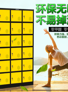 世佳彩色更衣柜铁皮柜储物柜带锁员工换衣柜存包柜洗浴柜碗柜鞋柜