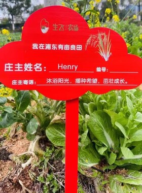 定制菜地花草幼儿园菜园种植花园装饰插地L木质提示标识牌木牌户