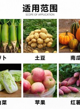 家用小型擦丝机电动打菜机萝卜南瓜粉碎切丝机多功能蔬菜瓜果养殖