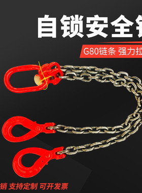 双钩起重链条自锁安全钩模具双链保险吊钩2吨3吨行车吊车组合吊具