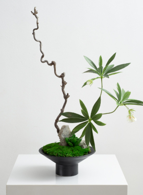 新中式绿a植苔藓盆景摆件日式小原流花道插花艺餐厅茶室样板间摆