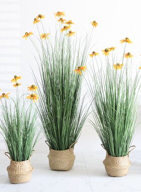 仿真绿植造景芦苇松果菊高端盆栽大型植物室内装饰家居服装店摆件