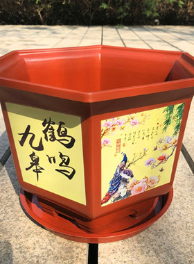 新款加厚六角形花盆塑料花盆花卉园艺绿植阳台盆栽盆景家用带托盘