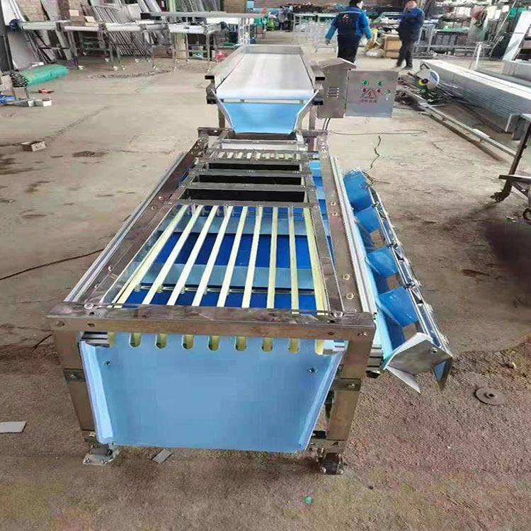 杨梅分级机 青柑选果机  西红柿金桔灰枣分拣级 水果分选机,淘宝优惠券,粉丝福利购,淘宝优惠卷