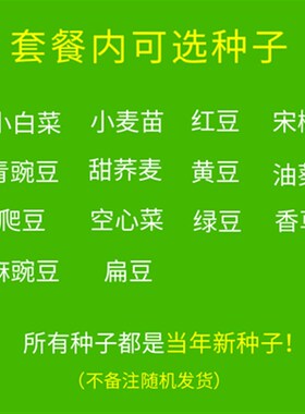芽苗菜育苗盘新鲜小麦苗种植盆纸上种菜无土栽培多层种植架豆芽菜