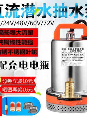 充电潜水泵12V高扬程水泵小型水井农用家用抽水机浇菜充电抽水泵