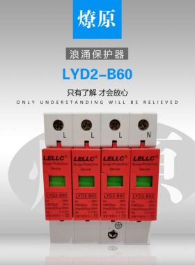 LYD2-C40/LYD2-D20/LYD2-B60/LYD2-B80/LYD2-B100浪涌保护器燎原
