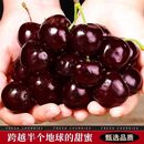 【爆款返场】进口智利净重2斤车厘子礼盒装