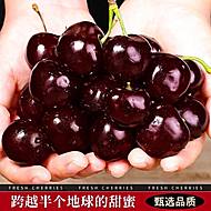 【净重2斤】空运智力车厘子礼盒装