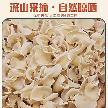 白玉木耳！无根小碗耳100g[10元优惠券]-寻折猪