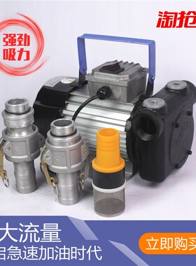 220V计量柴油抽油泵油桶60L-120L大流量加油泵铜芯车载汽油柴油