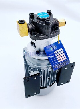 宝鸡机床 SK40P SK50P 数控车床主轴箱润滑油泵 润滑油泵电机总成