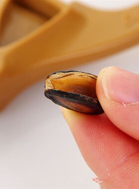 正品坚果剥壳器黑瓜子开心果白瓜子剥皮夹嗑瓜子器西瓜子剥瓜籽钳