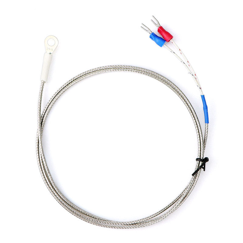 贝尔美贴片热电偶 直径4/5/6冷压端面探头 K型测热板表面传感器,淘宝优惠券,粉丝福利购,淘宝优惠卷