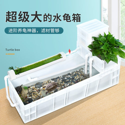 yee龟箱周转箱非免换水兰寿金鱼内循环净水鱼龟池养龟箱繁殖产蛋 - 图2