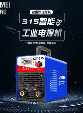 力雅镁 电焊机220v家用微小型380v两用全铜双电压315工业级便携式