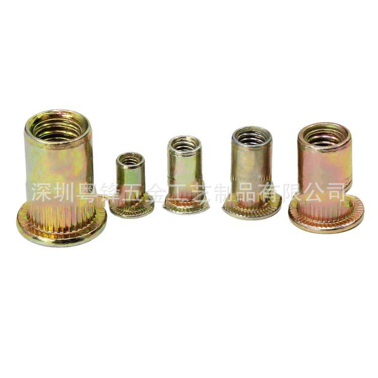 跨境现货 165PCS盒装彩钢铆螺母M3/4/5/6/8/10/12组合 平头铆螺母 - 图3