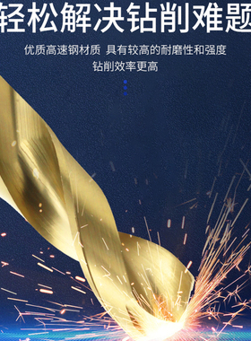 鼎泰定柄高速钻麻花钻粉末冶金高速钢钻头超硬不锈钢专用2-13