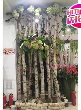 白桦树装饰木白桦树干装饰隔断屏风玄关背景墙橱窗树干.白桦树树