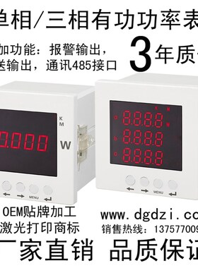 数显有功功率表DL194P-3K1 DL194Q-3K1数字功率因数表 数字频率表